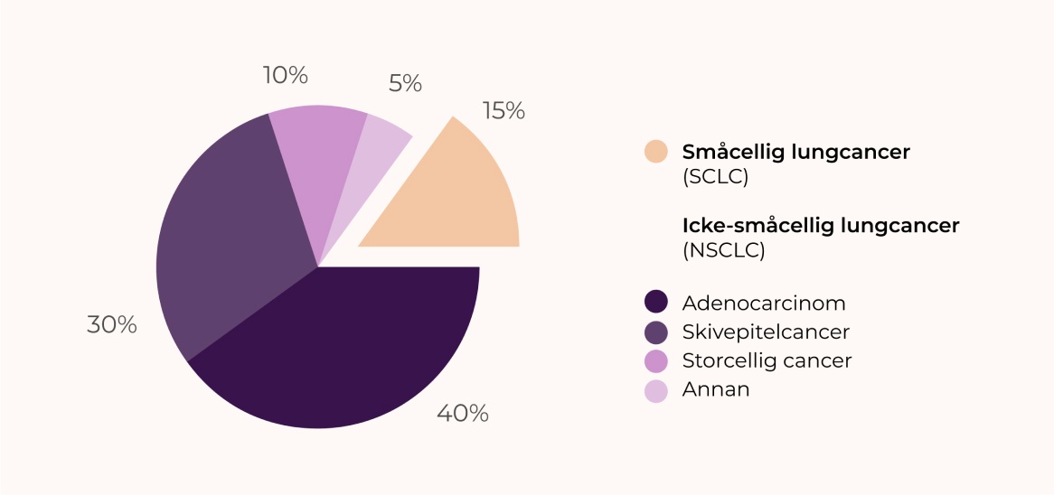 Grafik över typer av luncgancer